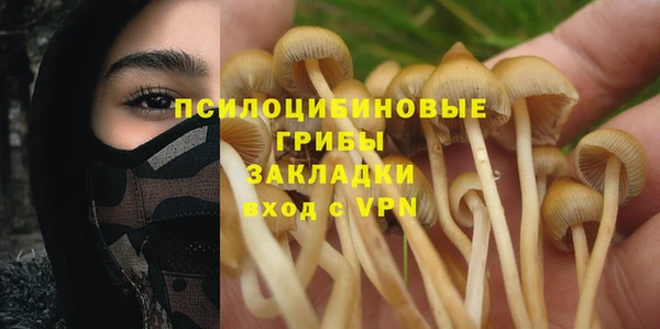 шишки Сясьстрой