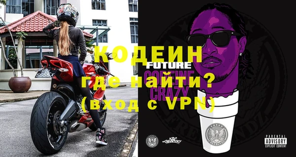 прущие грибы Абаза
