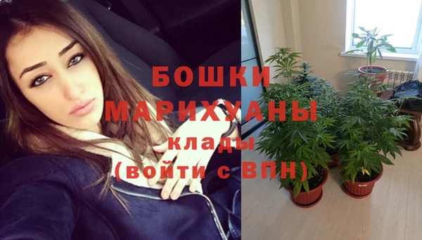 каннабис Тайга