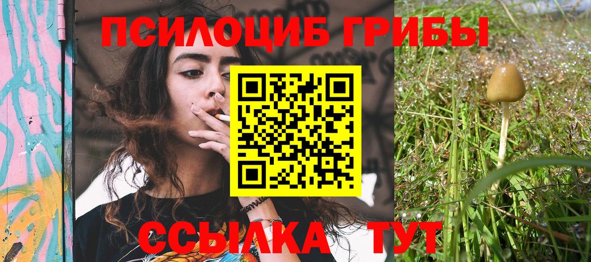 Псилоцибиновые грибы ЛСД Уварово