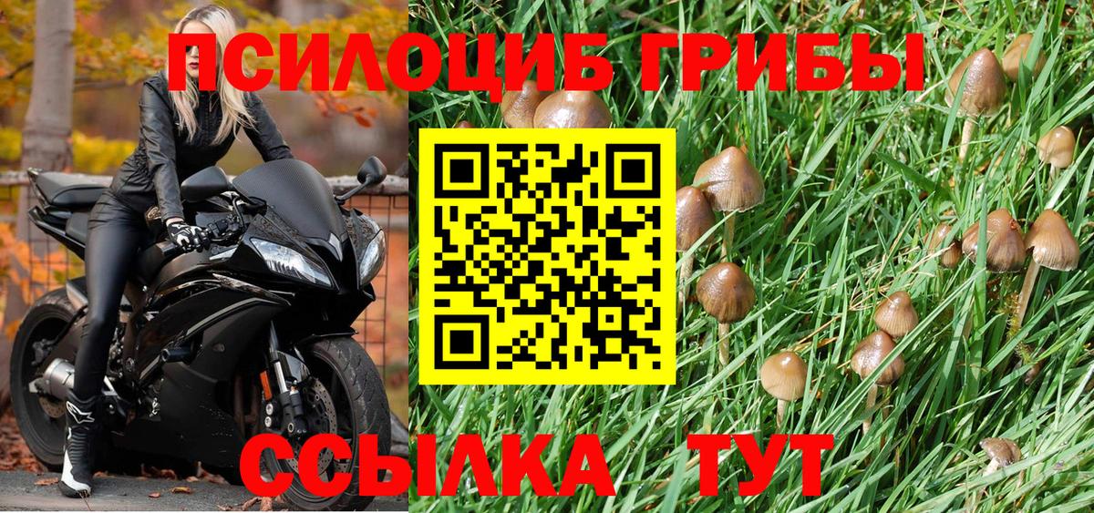 Галлюциногенные грибы прущие грибы  как найти   Уварово  Вход с VPN 